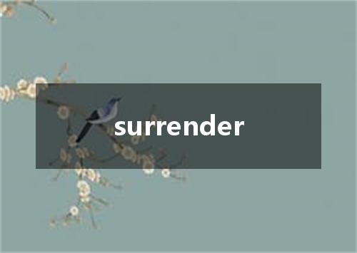 surrender是什么意思