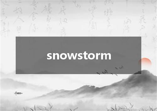 snowstorm是什么意思