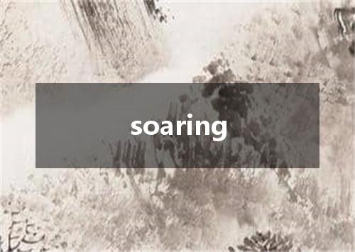 soaring是什么意思