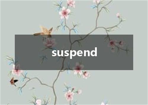 suspend是什么意思