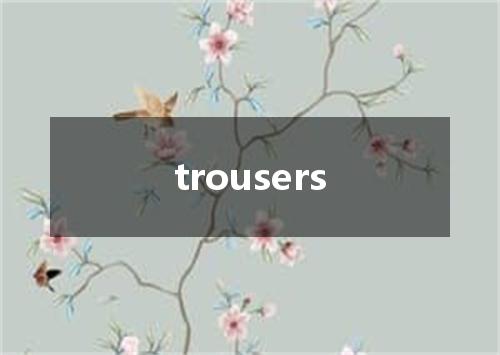 trousers是什么意思