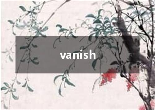 vanish是什么意思