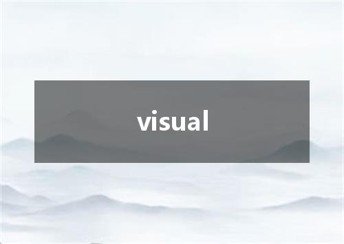 visual是什么意思