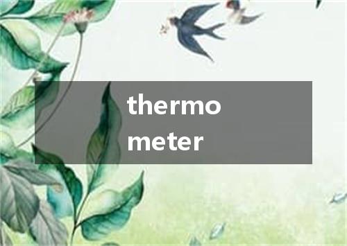 thermometer是什么意思