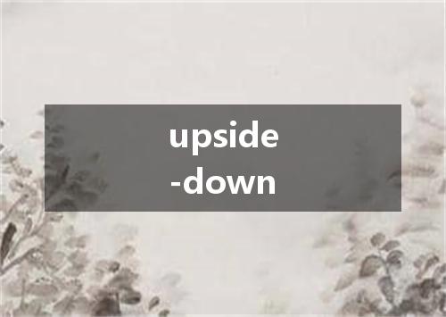 upside-down是什么意思