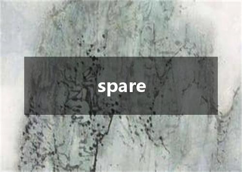 spare是什么意思