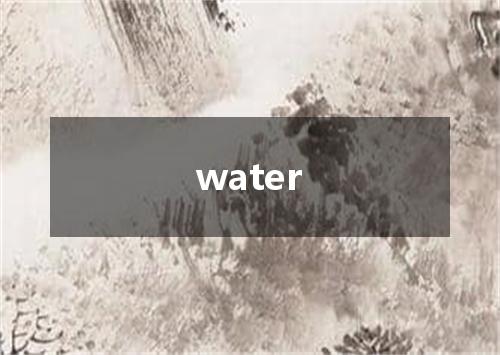 water是什么意思