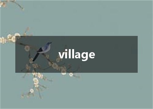 village是什么意思
