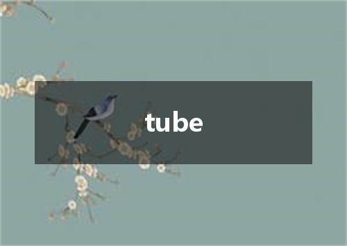 tube是什么意思