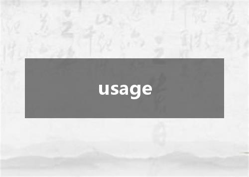 usage是什么意思