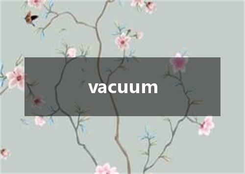 vacuum是什么意思