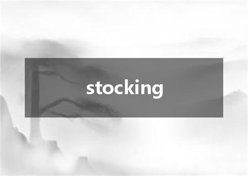 stocking是什么意思