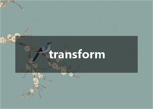 transform是什么意思