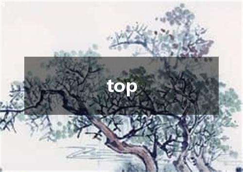 top是什么意思