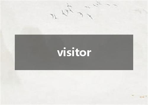 visitor是什么意思