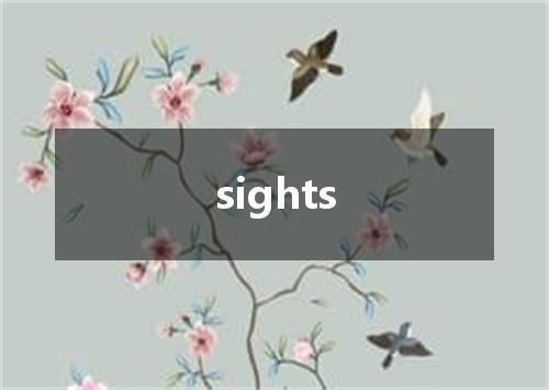 sights是什么意思