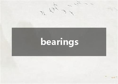 bearings是什么意思