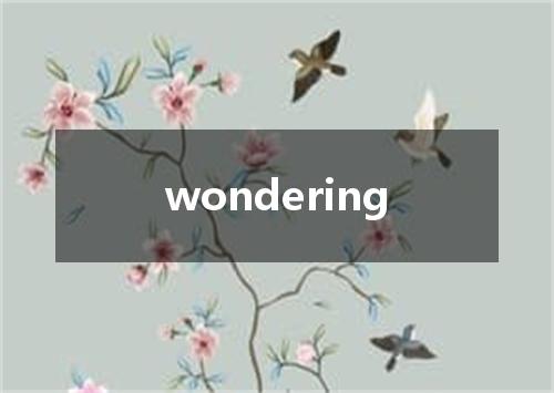 wondering是什么意思