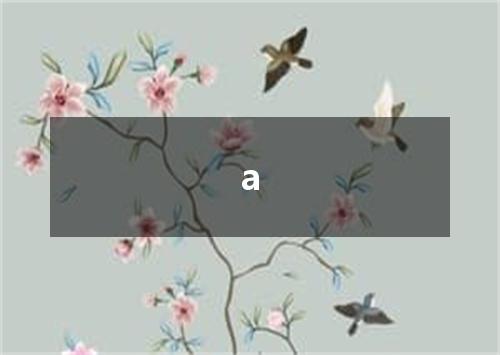 a是什么意思