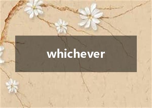 whichever是什么意思