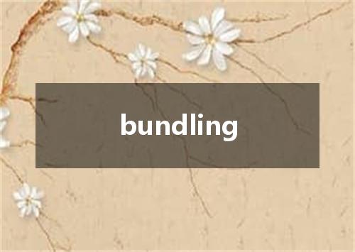 bundling是什么意思