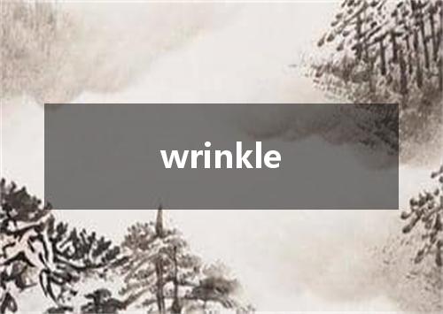 wrinkle是什么意思
