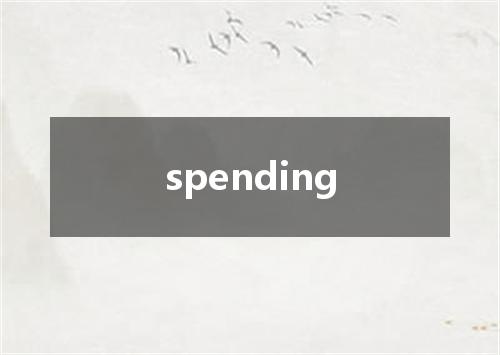 spending是什么意思