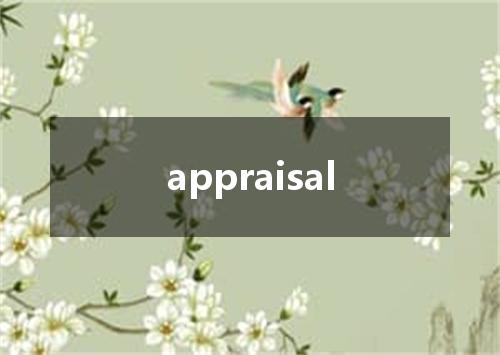 appraisal是什么意思