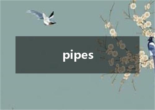 pipes是什么意思