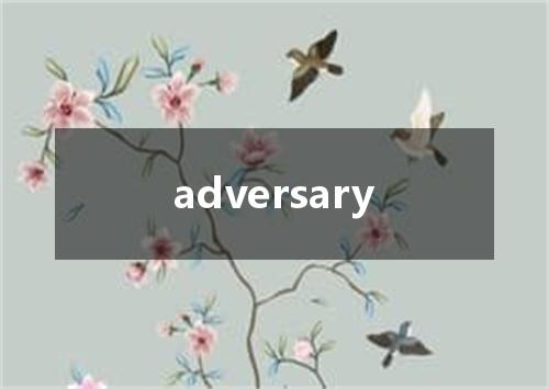 adversary是什么意思