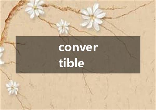 convertible是什么意思