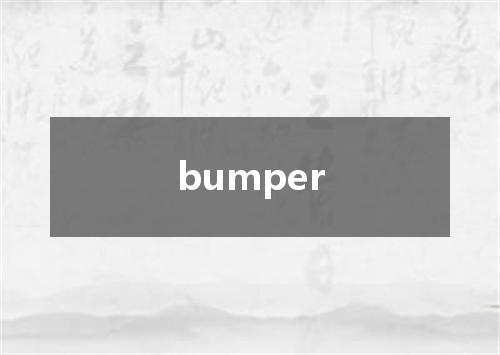 bumper是什么意思