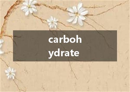 carbohydrate是什么意思