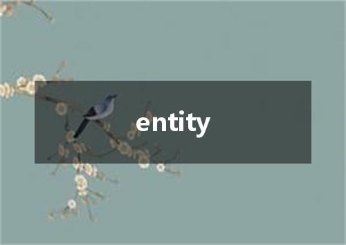 entity是什么意思