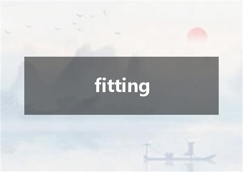 fitting是什么意思