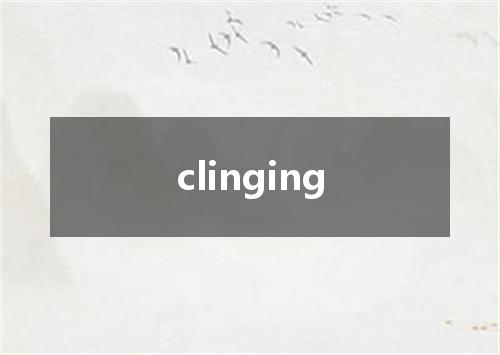 clinging是什么意思