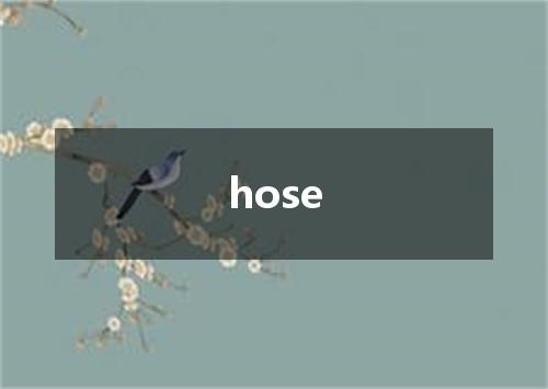 hose是什么意思