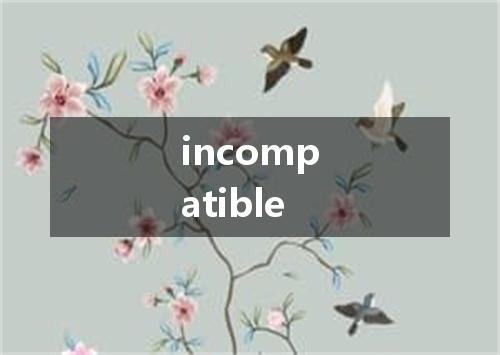 incompatible是什么意思