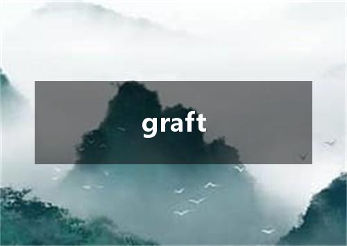 graft是什么意思