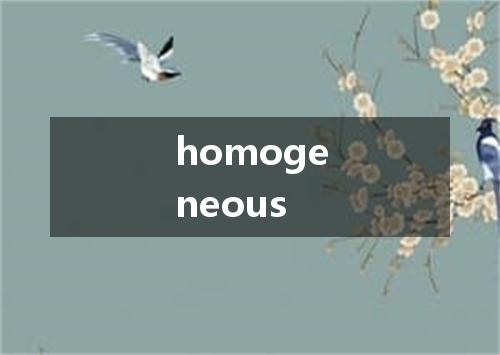 homogeneous是什么意思