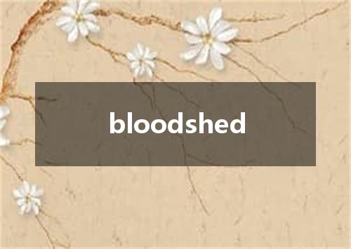 bloodshed是什么意思