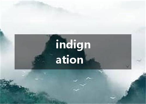 indignation是什么意思