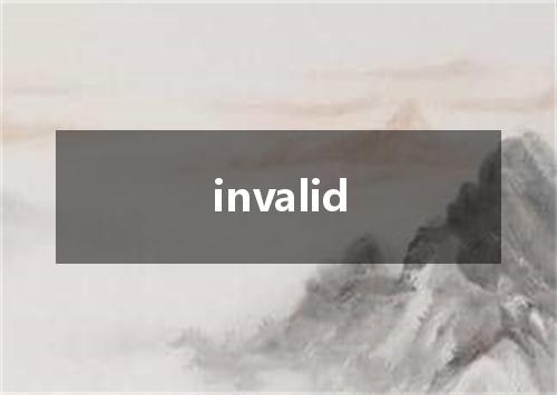 invalid是什么意思