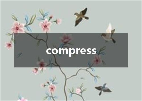 compress是什么意思