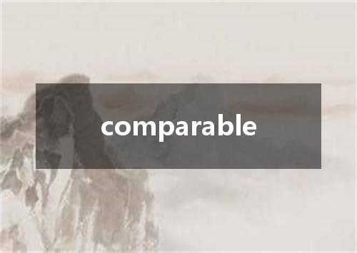 comparable是什么意思