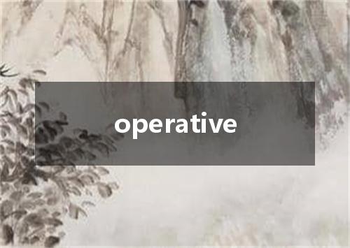 operative是什么意思