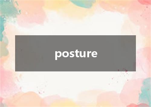 posture是什么意思
