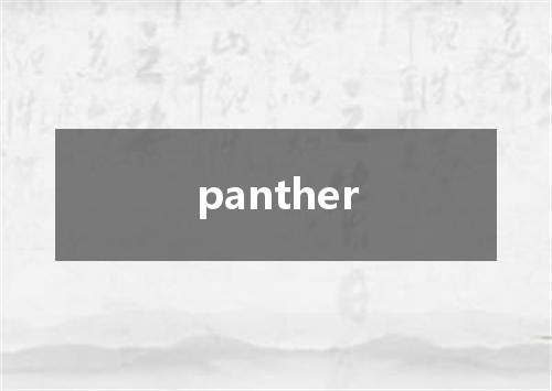 panther是什么意思