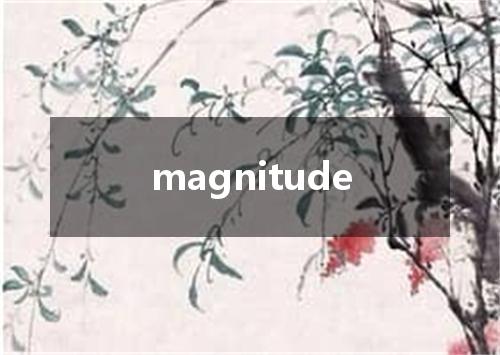 magnitude是什么意思