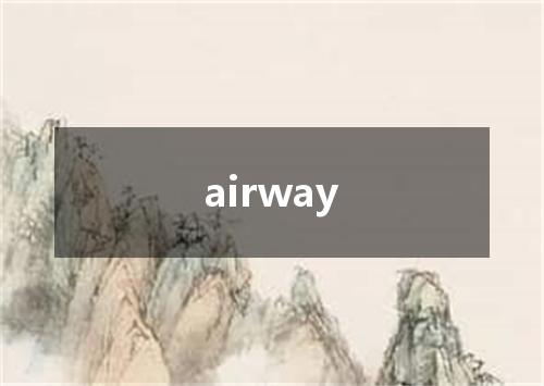 airway是什么意思